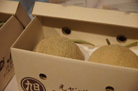 ���^�i�̐��X