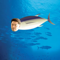 切り身の法則