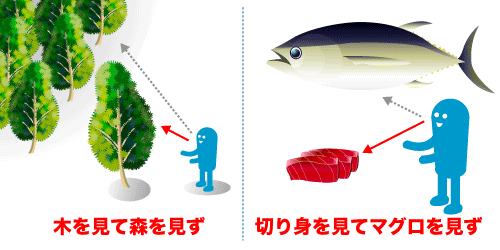 切り身を見てマグロを見ず