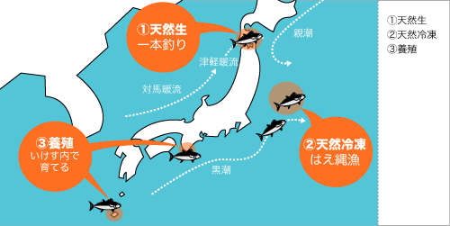 マグロの種類だけでも、ホンマグロ、ミナミマグロ、メバチなど様々で、また、獲れる場所によって質や値段がそれぞれ異なる。さらに、天然か養殖か生か冷凍かによってかなり価格や味に違いが出てくる。